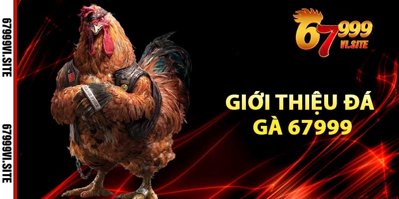 Giới thiệu đá gà 67999