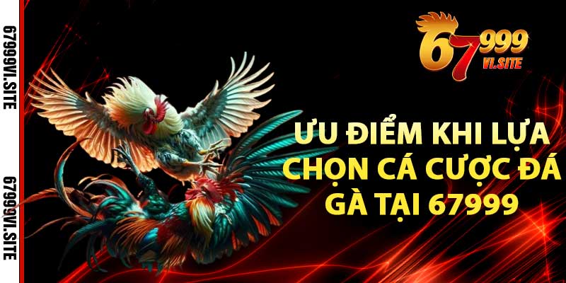 Những ưu điểm khi lựa chọn cá cược đá gà tại 67999